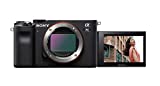 Sony Alpha 7 C - Cámara evil de fotograma completo (compacta y ligera, enfoque automático a tiempo real, 24.2 megapíxeles, sistema de estabilización de 5 ejes, batería de gran capacidad) negro