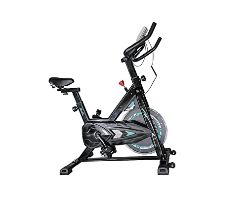 Bicicleta Estatica spinning Bicicleta Profesional para Uso domestico,con Monitor,Calidad Profesional Volante Inercia 6 kg (bicicleta spinning verde)