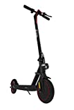 ZWHEEL Patinete eléctrico para Adulto E9D hasta 25km de autonomía, 25km/h máxima velociadad, Dos Modos de Velocidad, 350W Motor, Plegable, Control de Crucero, conexión App móvil