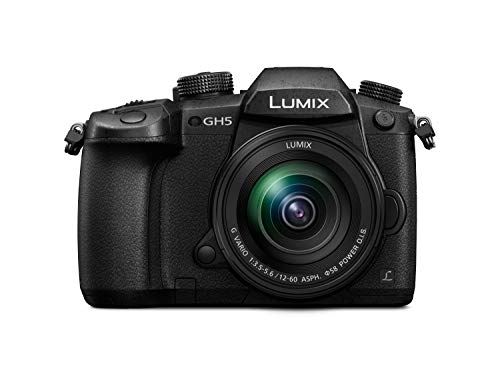 Panasonic Lumix GH5M - Cámara Evil de 20.3 MP (Pantalla de 3.2", Visor OLED, estabilizador Dual I.S II 5 Ejes, 4K, Wi-Fi, Bluetooth), Kit con Objetivo Lumix Vario 12-60mm/F3.5-F5.6