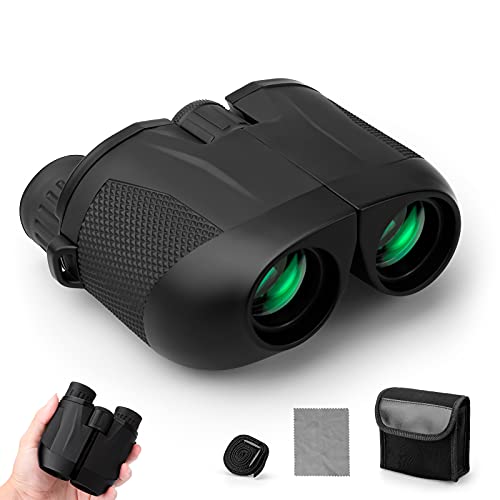 VDSTAR Prismaticos Profesionales, 10 x 25 Prismaticos Vision Nocturna para niños y Adultos, pequeños con prismas BAK4 y Lente Verde FMC para Viajes, observación de Aves, Senderismo, Caza, Turismo