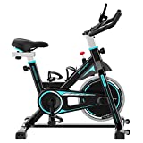 CITYSPORTS CS08 Bicicleta Estática Resistencia Ajustable con Pantalla LCD y Monitor de Frecuencia Cardíaca, Bicicletas Estáticas de Interior Fitness Bikes Tranquilo, CS08-2