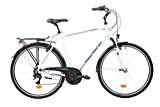 F.lli Schiano Voyager Bicicleta Trekking, Men's, Blanco-Azul, 28''