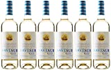 Nave Sur Verdejo Vino Blanco D. O Rueda - 6 Botellas de 750 ml (Total 4.5 L) BODEGA CUATRO RAYAS