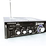 Mini Bluetooth Amplificador Audio, 600W HiFi de 2.0 Canales Audio Stereo Music Reproductor, SD Card/USB Input/ FM Radio, para PC, TV, Amplificador Coche, casa Altavoz, subwoofer BT 12v 220V (600W)