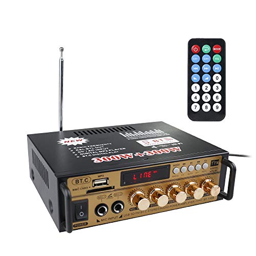 Etlephe Amplificador Audio,Amplificador HiFi,Amplificador Bluetooth 5.0,12V 220V 600W 2CH Pantalla LCD de Alta fidelidad, FM Radio Portátil SD Card/USB Input/FM Radio, para el hogar o tu Coche(Oro)
