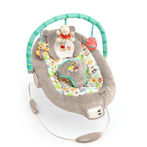 Bright Starts, Disney Baby Hamaca bebé Winnie the Pooh