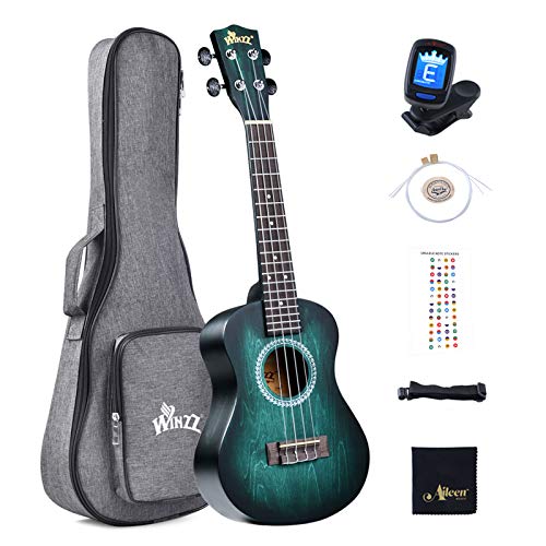 Winzz Ukelele Concierto Principiante para Adulto, Diseño de Color Único - 23 Pulgadas Azul-verde