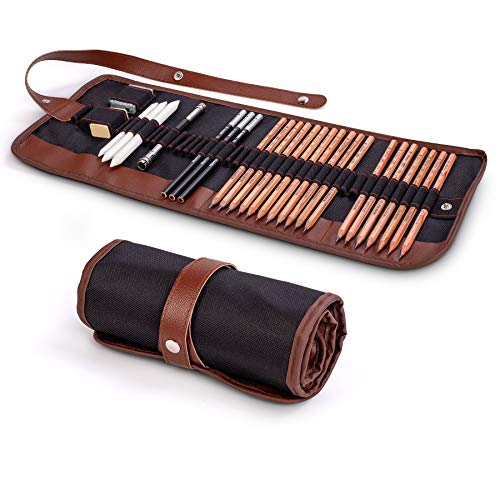 Cooja Set de Lapices de Dibujo, Lapiz Kit de Arte Material de Dibujo con Lapices Grafito e Lapices Carboncillo, Set de Artista para Bosquejo, 29 Piezas