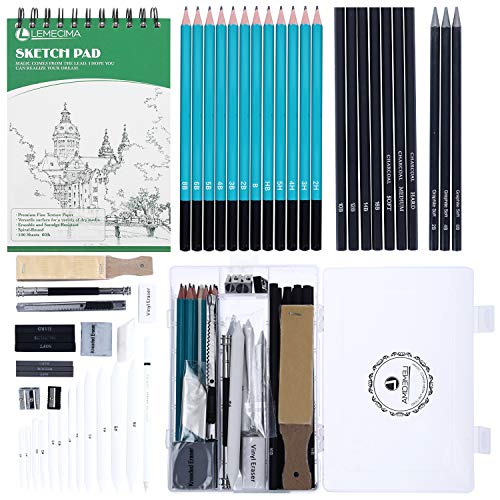 Lapices de Dibujo Artistico 50 Piezas Set de Dibujo Profesional con Bosquejo Carbón Grafito Sticks, Bloc de Dibujo 100 hojas, Caja Portátil para Artista Principiante Estudiante Niños y Adultos
