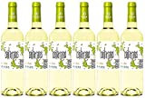 Cantarranas Verdejo, Vino Blanco D. O Rueda - 6 Botellas de 750 ml - (Total: 4.5 Lt) BODEGA CUATRO RAYAS