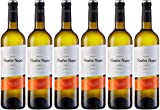 Cuatro Rayas Vino Blanco Verdejo Vendimia Nocturna D.O. Rueda - 6 Botellas de 750 ml (Total 4.5 L)
