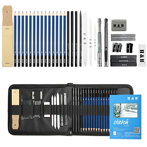 35Pcs Profesional Dibujo de Arte y Lápiz Dibujo Conjunto de Lápiz de Carbón, Lápiz de Grafito, Borrador Etc Herramienta de Dibujo a Lápiz Completo con Bolsa de Cremallera Portátil
