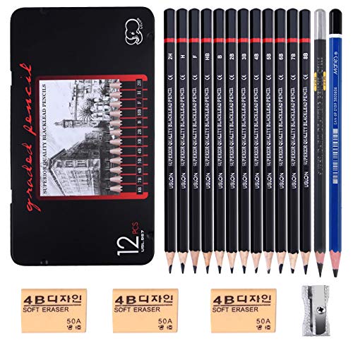 Vicloon Lápices de Dibujo, 18 PC Lápices de Grafito, Juego de Lápices con 3 Borrador Sacapuntas y Estuche para Artistas o Niños, Profesional Bocetos de Lápices 12B 10B 8B 7B 6B 5B 4B 3B 2B B HB F H 2H